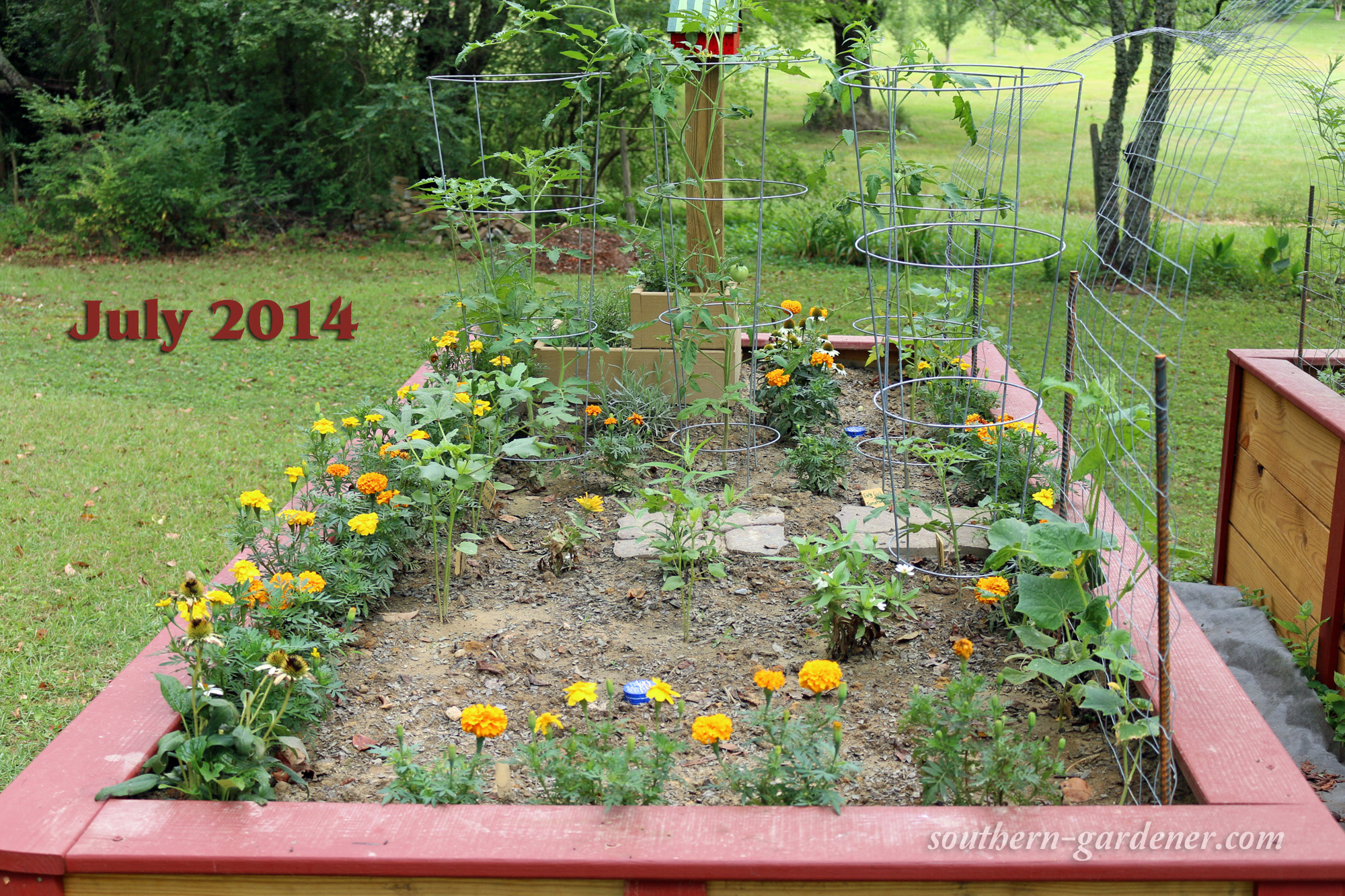 Raised Vegetable Gardens: What I Would Do Differently – The Southern