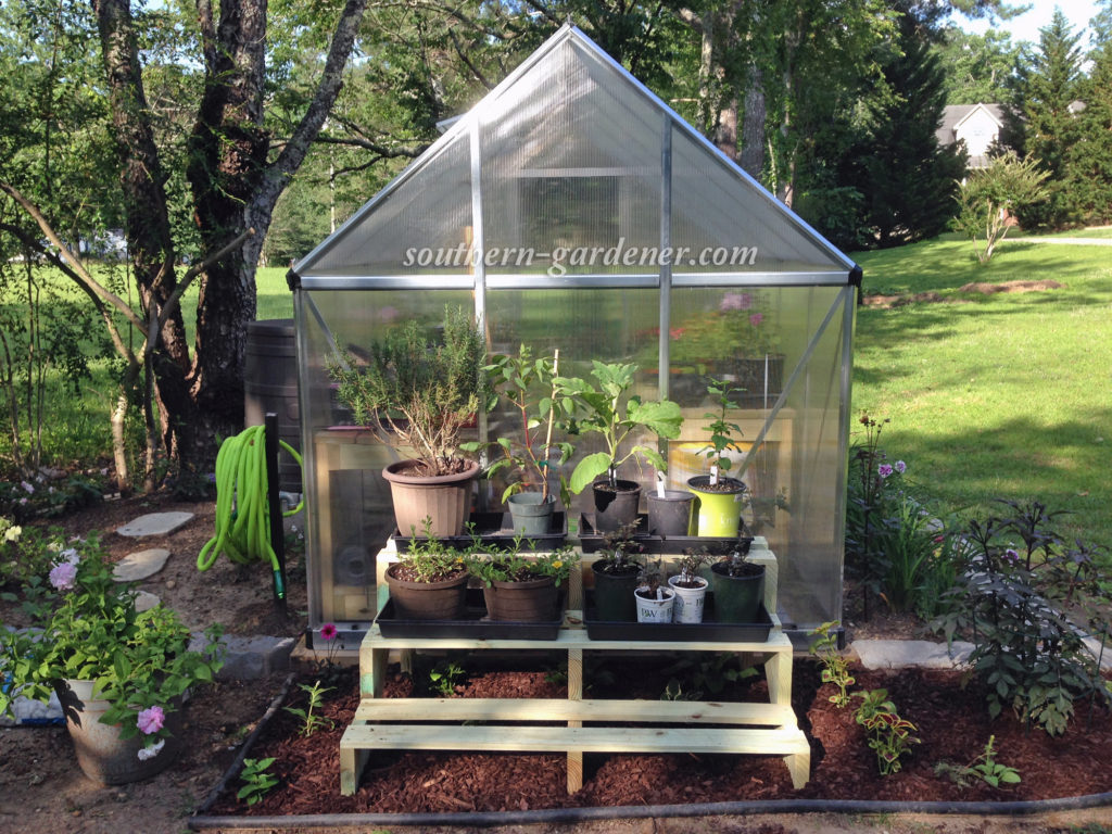 Small Flower Beds in Front of Greenhouse Southern Gardener