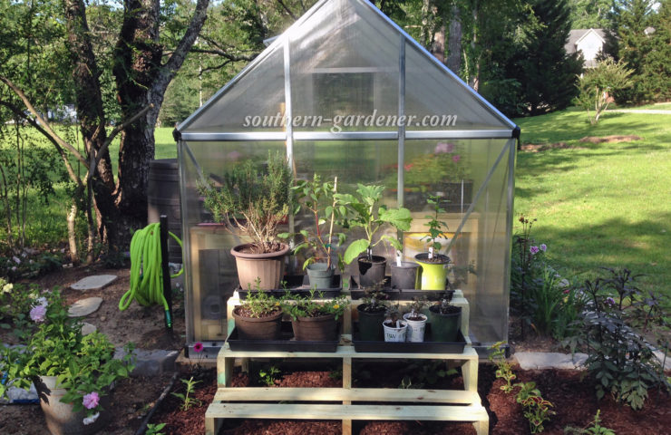 greenhouse landscaping