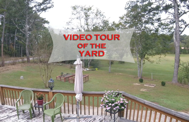 video tour of the yard