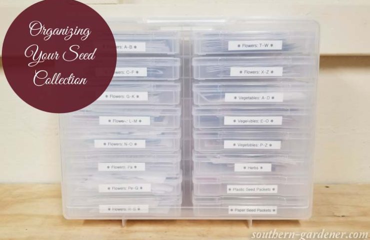 Organizing Your Seed Collection with Photo Storage Box