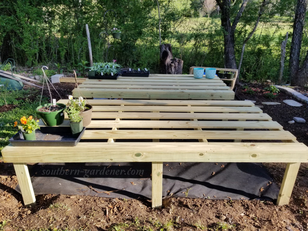 Display Tables for Greenhouse Southern Gardener