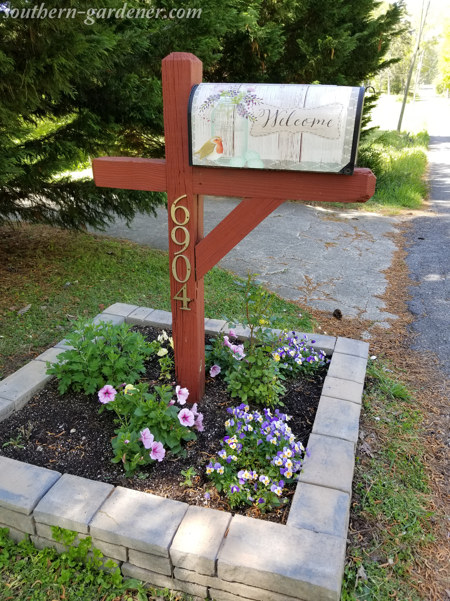 mailbox landscaping: violas, petunias, miniature rose bush, osteospermum