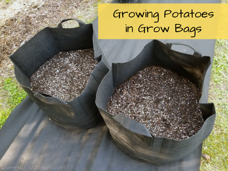 Growing Potatoes in Grow Bags Southern Gardener