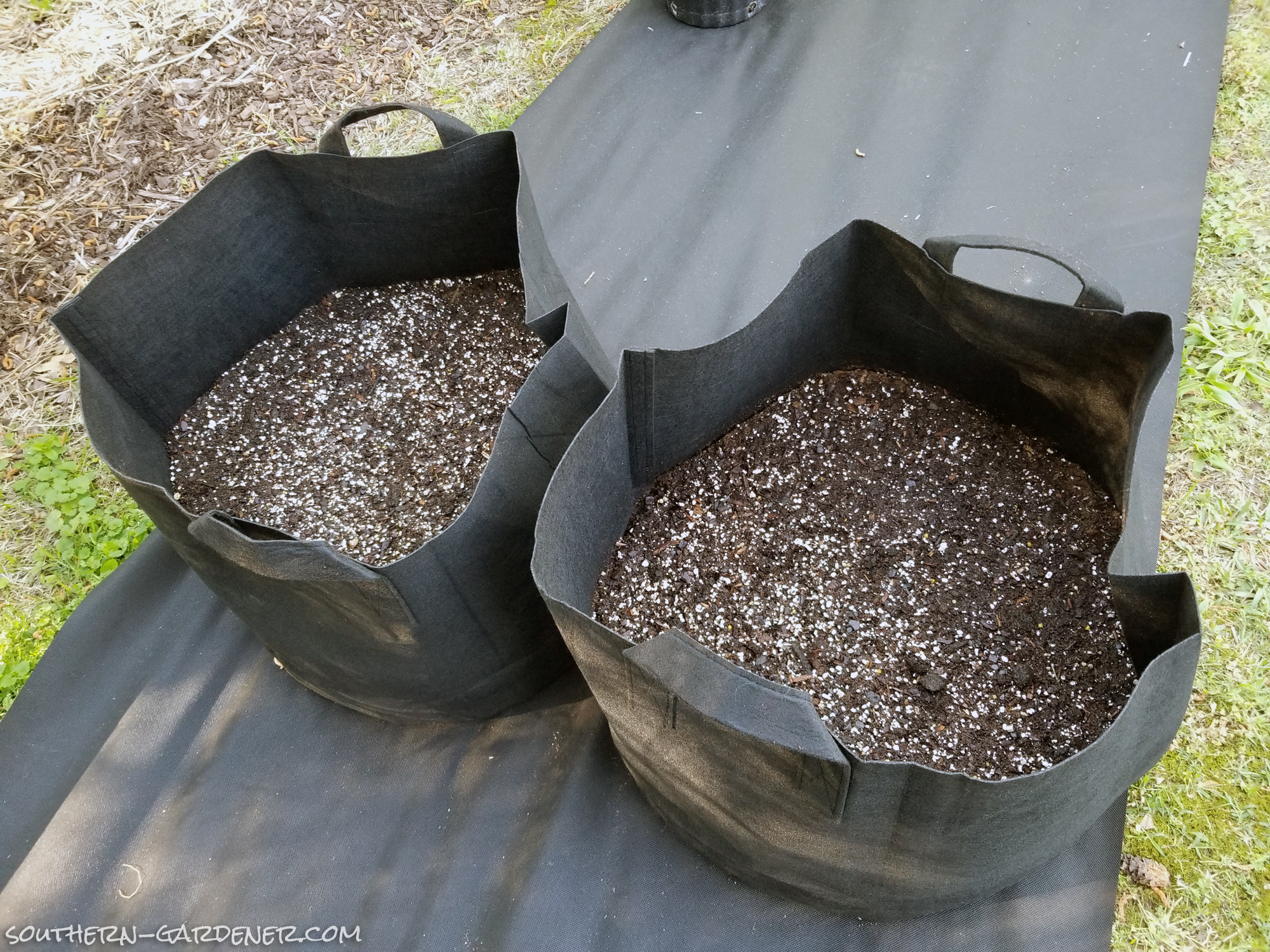 DIY Potato Grow Bag  Growing potatoes, Grow bags, Container gardening