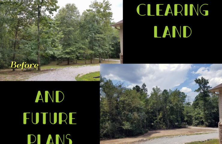 Clearing Land and Plans