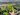 Catmint – Blue Dreams 2