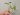 Syngonium Snow White (2)
